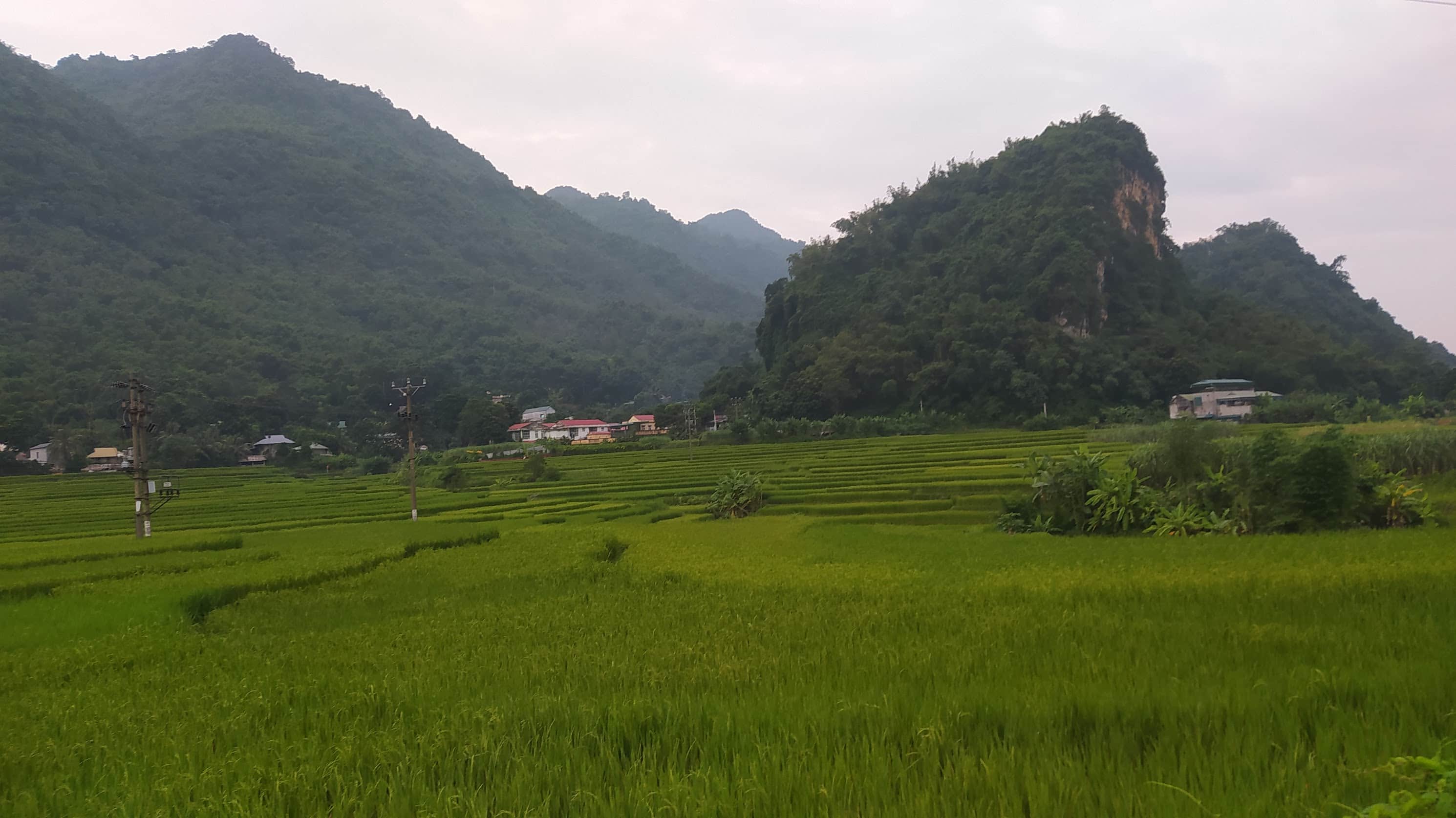 Nature